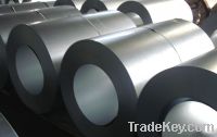 Galvanized and Galvalume steel coil