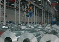 DX51D+Z Galvanized Steel Coils For Roofing