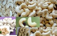 CASHEW at best rates