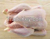 Halal Frozen Whole Chicken