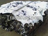 Dry Salted Cattle Hides