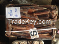 Frozen Squid Frozen Illex Argentinus Squid