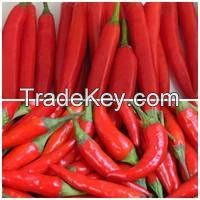 Dried & fresh Chilli For Sale