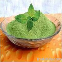 medicinal herb powder