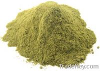 stevia extract powder