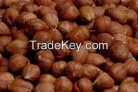 Hazelnut kernels 13-15mm for sale! 2014 year crop