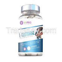 L-Glutamine 850mg High Strength Capsule Wholesale Diet Supplements Bottle, Foil pack, loose bulk, private labelled