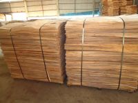 Sell Core Veneer from Acacia, Eucalyptus and Rubberwood