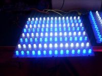 Hight Power LED Grow Lights