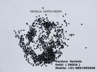 Nigella Sativa Seeds