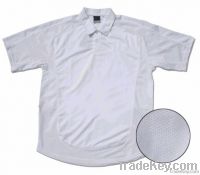 Polo T Shirt