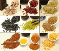 grains, buckwheat, beans, kidney beans, flour, corn, 