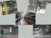 Chicken feeding cages for poultry farm