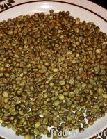 Ghana Coffee Beans