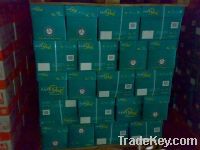 Sell PaperOne Copier Paper A4 80gsm, 75gsm, 70gsm
