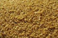 High protein soybean meal for animal feed
