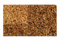 Healthy Flax seeds