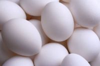 Fresh white Chicken eggs