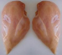 Frozen Halal Chicken Breast Boneless Skinless
