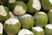 Best price fresh coconuts  for sale