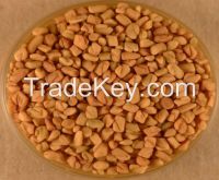 Best Grade  fenugreek seeds for sale