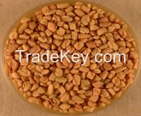 High quantity Fenugreek extract/Fenugreek extract powder/fenugreek seed for sale