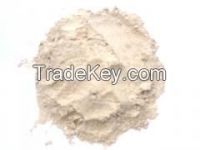 Best price Rape lecithin powder for sale