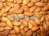 Sell Almond nuts cheap price