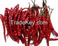 Cheapest price Dry Hot Red Chilli for sale