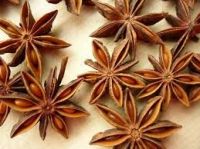 Autumn Star Aniseed