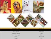 Chewing, Jam Center Pet Food Processing Line