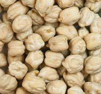 Desi And Kabuli Chick Peas