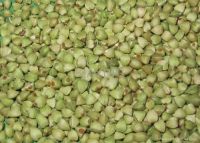Raw Green Buckwheat Kernel