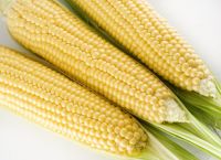 Frozen Fresh White Maize Corn
