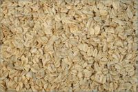 Top Quality Dry Oats For Sale