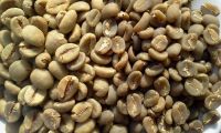 Top Quality Robusta Coffee Beans