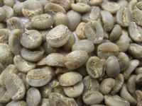 Green Arabica Coffee Beans
