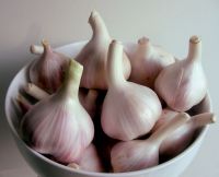 Garlic For Sale At Affordable Prices
