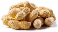 Peanuts for sale at affordable price