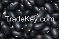 high grade black beans for sale