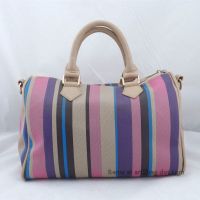 Striped Lady Handbag