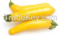 Yellow Squash