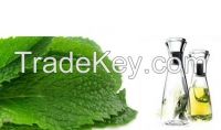 Pepper Mint Oil