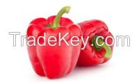 Capsicum Red