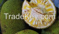 Green Jackfruit