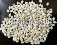 Top Grade A Hulled Sesame Seed