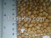 chickpeas ( Desi & Kabuli) , 9mm , 12mm