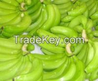 100 % NATURAL CAVENDISH GREEN BANANA