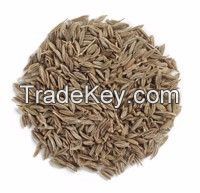 cumin seeds (2015 new crops)