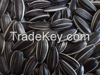 Bulk sunflower seeds 5009/24/64 in shell for export